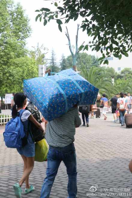 开学季，大学生拍“父亲背影”，引无数网友泪奔