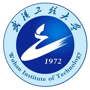 武汉工程大学中外合作办学专业有哪些？