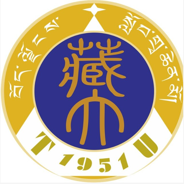 西藏大学艺术类专业有哪些？