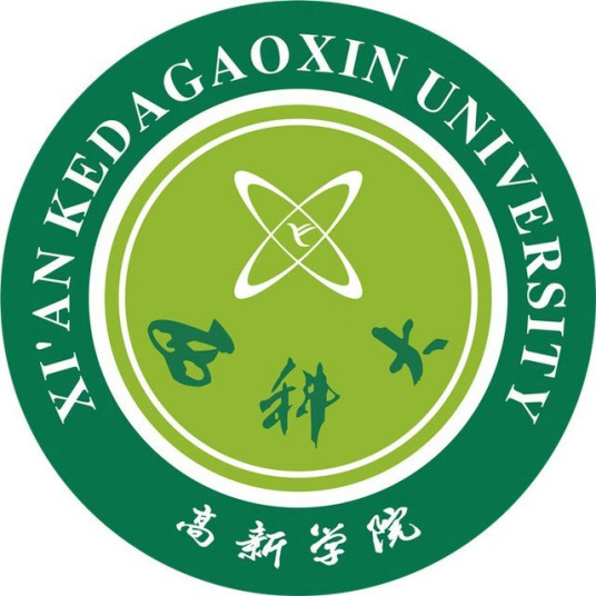 西安科技大学高新学院中外合作办学专业有哪些？