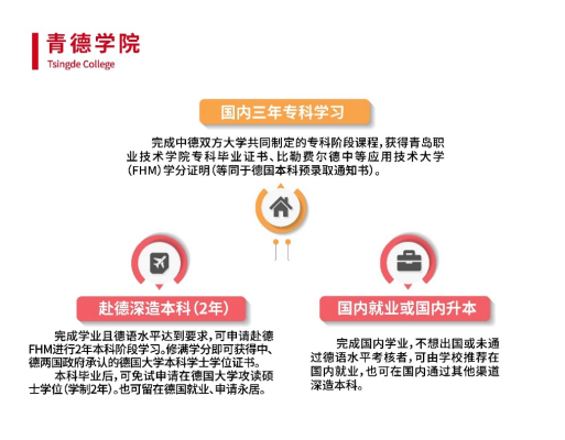 2022青岛职业技术学院中外合作办学招生简章