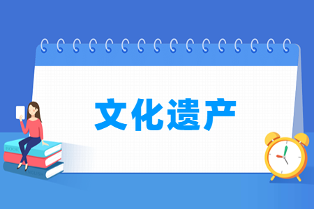 文化遗产专业选科要求