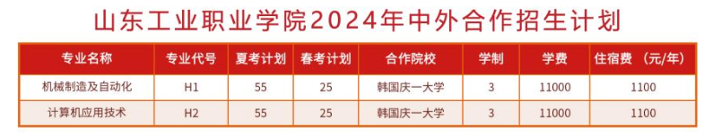 2024山东工业职业学院中外合作办学招生计划-各专业招生人数是多少