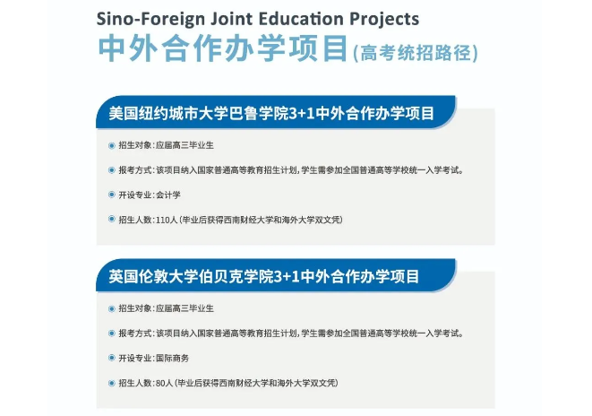 2024西南财经大学中外合作办学招生简章