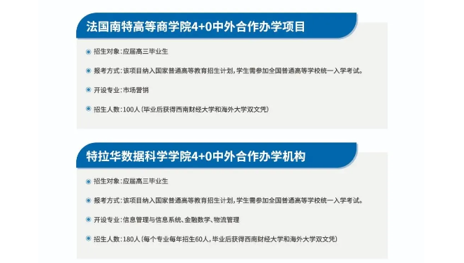 2024西南财经大学中外合作办学招生简章