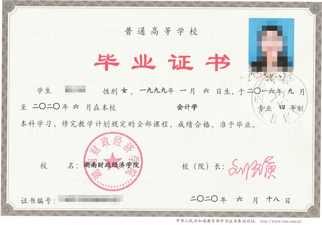 2024湖南财政经济学院中外合作办学招生简章