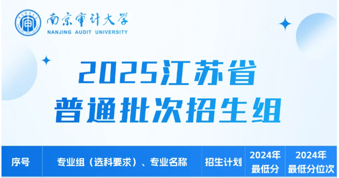 2025南京审计大学中外合作办学招生计划-各专业招生人数是多少