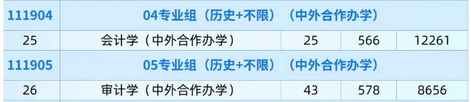 2025南京审计大学中外合作办学招生计划-各专业招生人数是多少