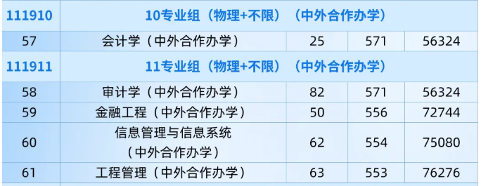 2025南京审计大学中外合作办学招生计划-各专业招生人数是多少