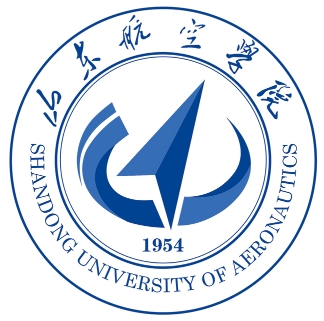 山东航空学院中外合作办学专业有哪些？