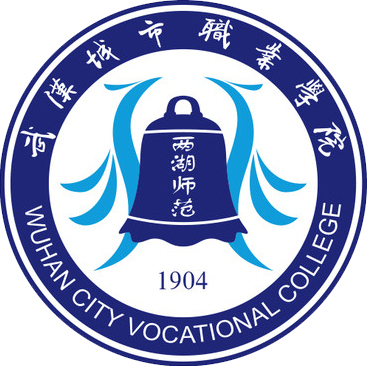 2023武汉城市职业学院中外合作办学分数线（含2021-2022历年）